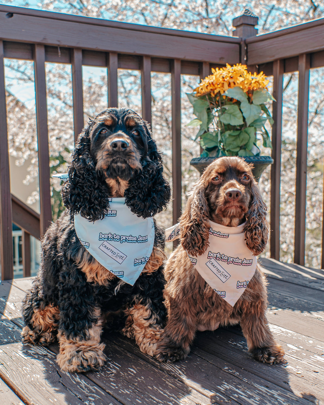 Bandana - Bark To Praise (Turquoise)