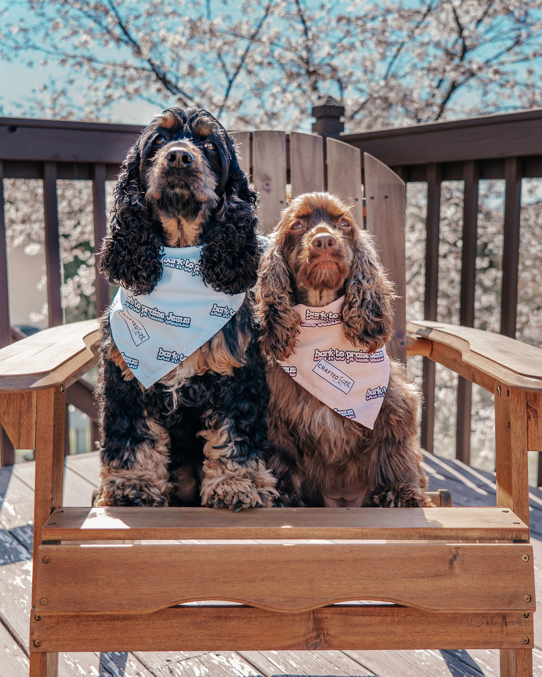 Bandana - Bark To Praise (Turquoise)